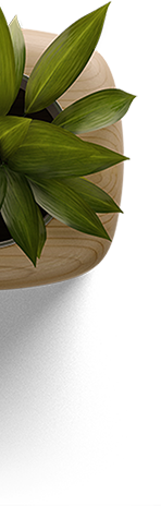 Best Website Designing | SEO |Android Company In Jamshedpur